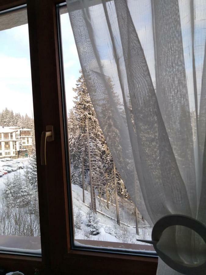Пампорово Студио Милка В Хотел Росица エクステリア 写真
