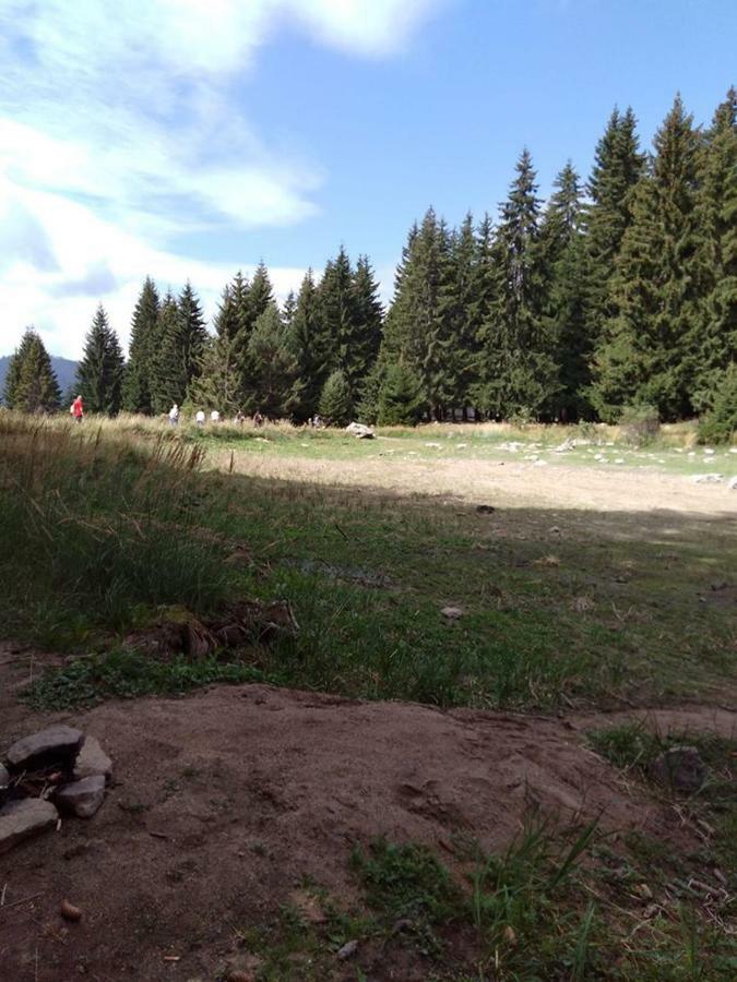 Пампорово Студио Милка В Хотел Росица エクステリア 写真