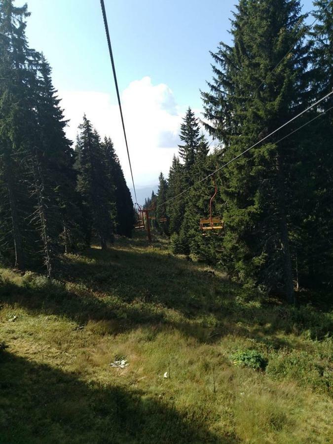 Пампорово Студио Милка В Хотел Росица エクステリア 写真